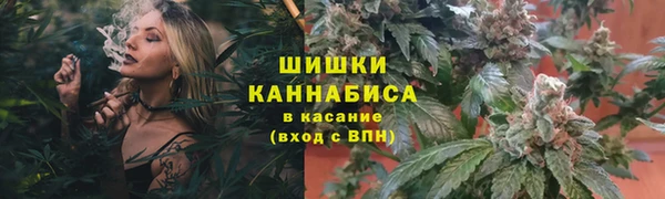 дживик Нефтегорск