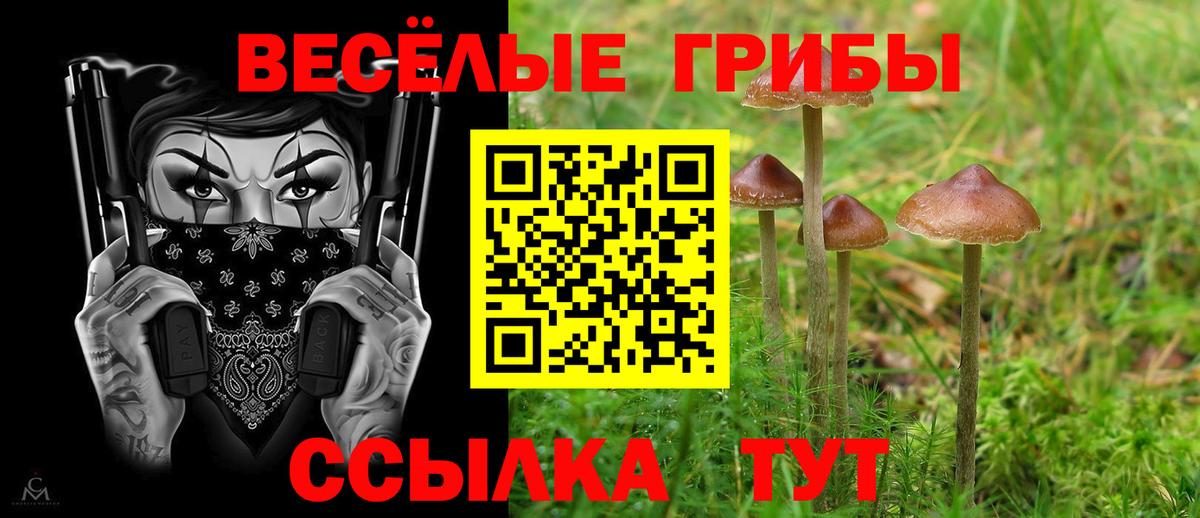 Серов  Галлюциногенные грибы мицелий  Вход с VPN 