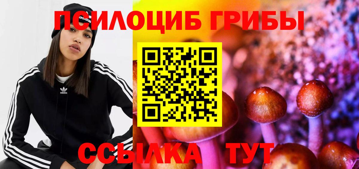 Галлюциногенные грибы мухоморы Серов